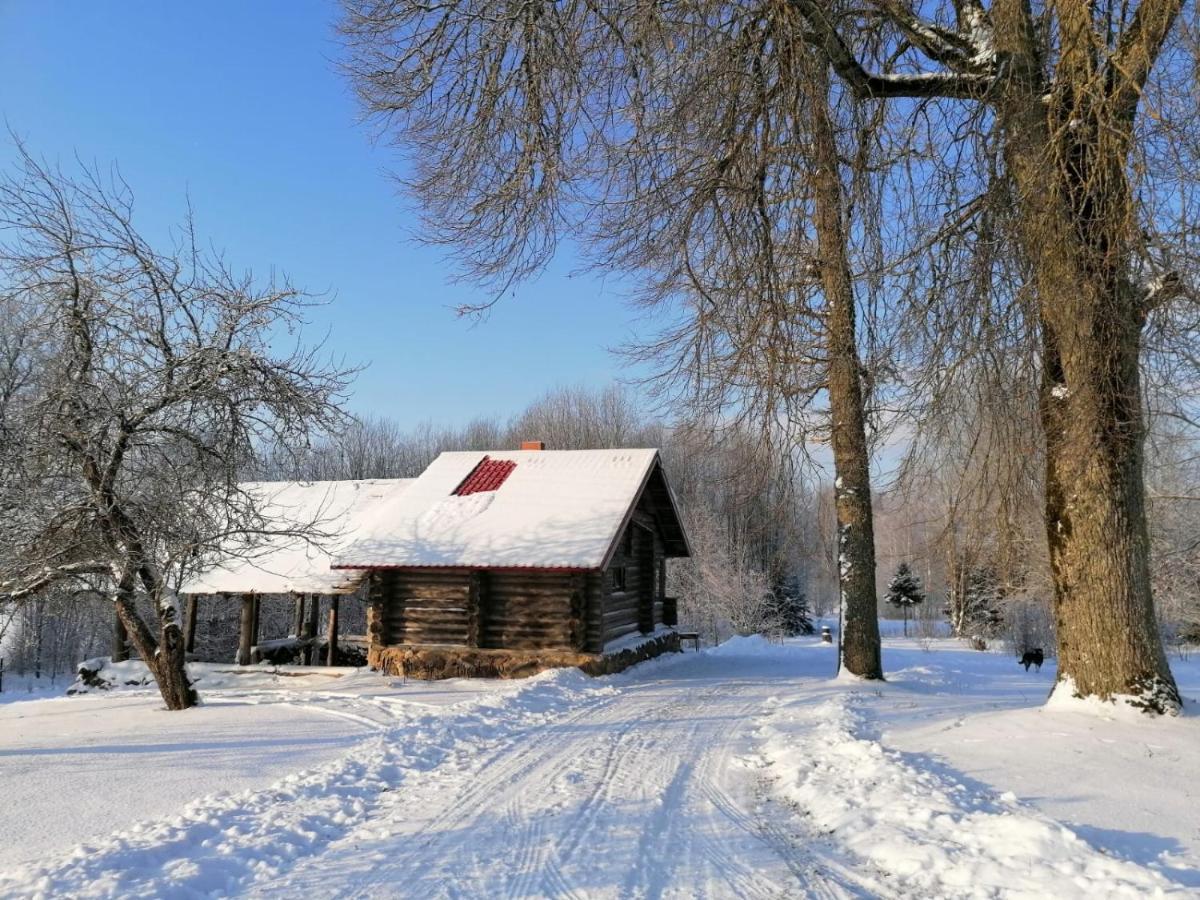 Ferienwohnung Country House Podini Mālpils Exterior foto